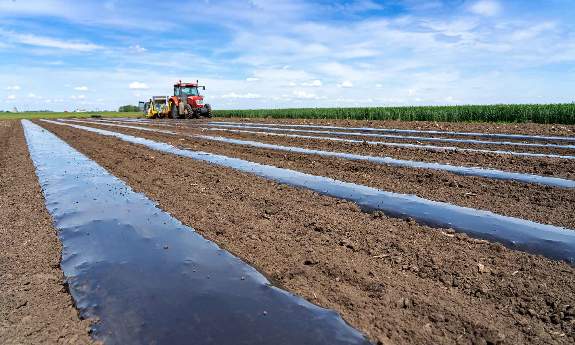 Biodegradable Mulch Film